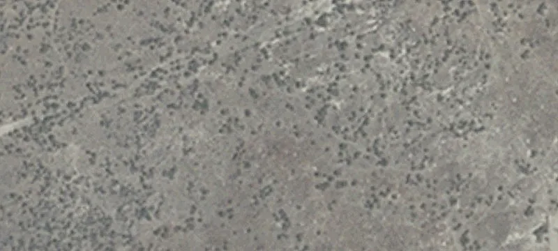 Frontage Rd