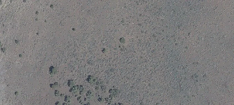 State Rte 447