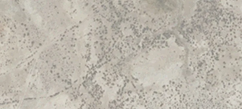 Austin, NV 89310