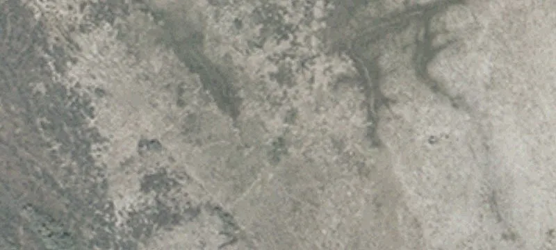 Wells, NV 89835
