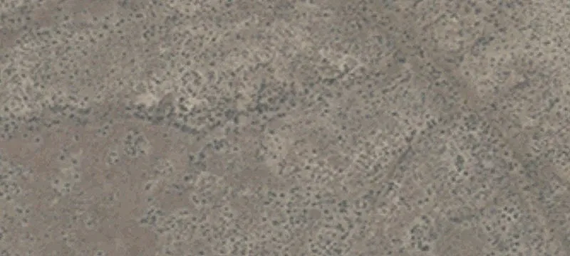 Valmy, NV 89438