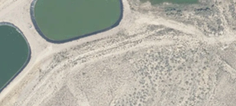 Ely, NV 89301