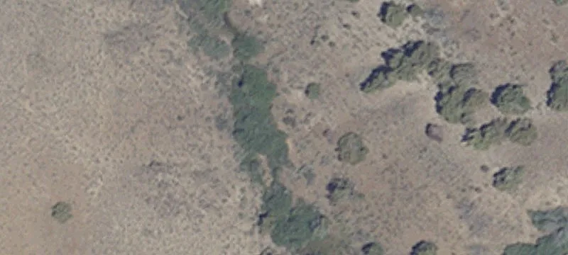 Mine-new Tiger Ml Site