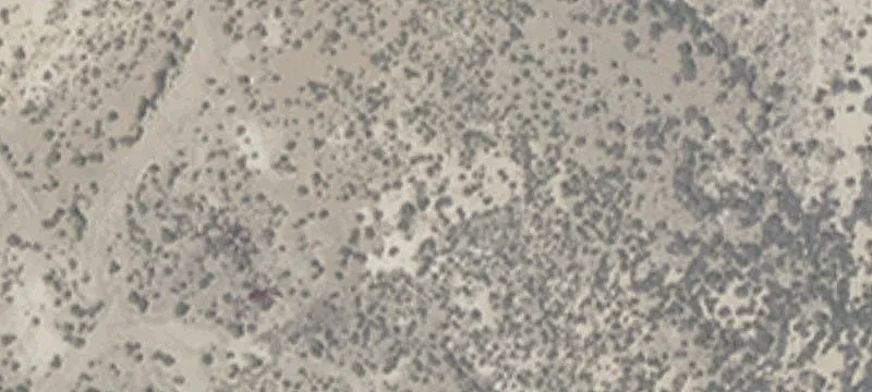 Lovelock, NV 89419
