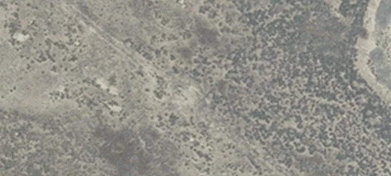 Wells, NV 89835