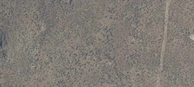Jackpot, NV 89825