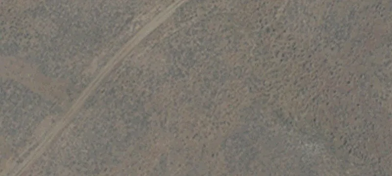 Elko, NV 89801