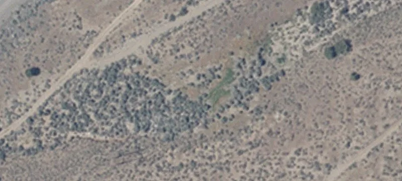 Hwy 50