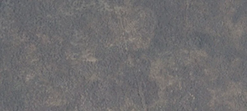 Lovelock, NV 89419