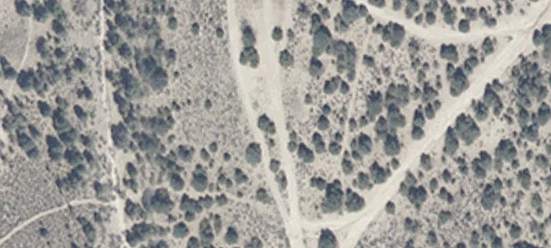 Ely, NV 89301