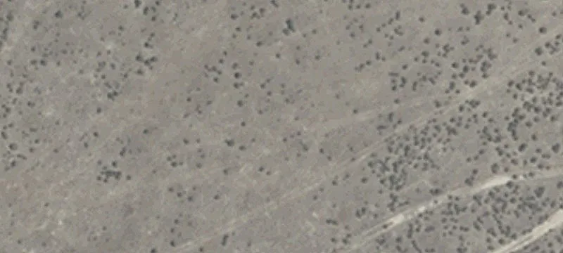 Frontage Rd