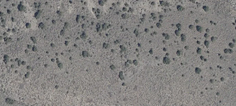 Lovelock, NV 89419