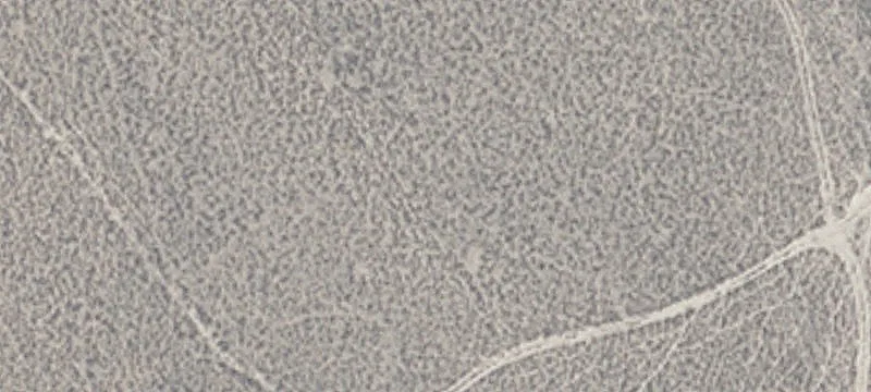4497 Sr 490