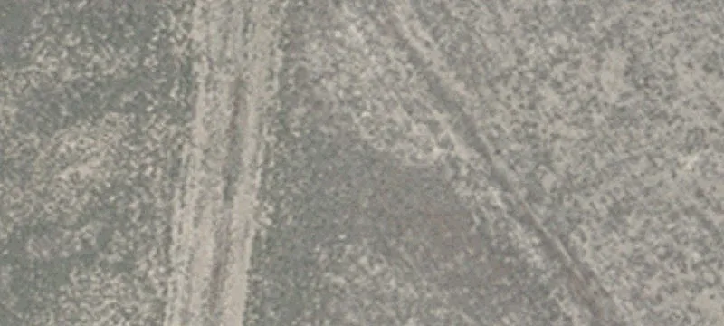 Wells, NV 89835