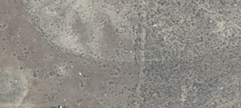 Wells, NV 89835