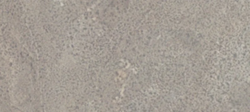 Lovelock, NV 89419