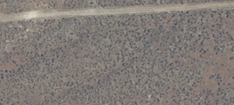 Jackpot, NV 89825