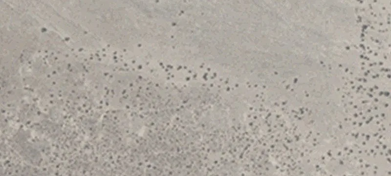Lovelock, NV 89419