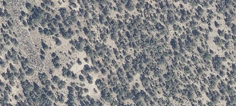Ely, NV 89301