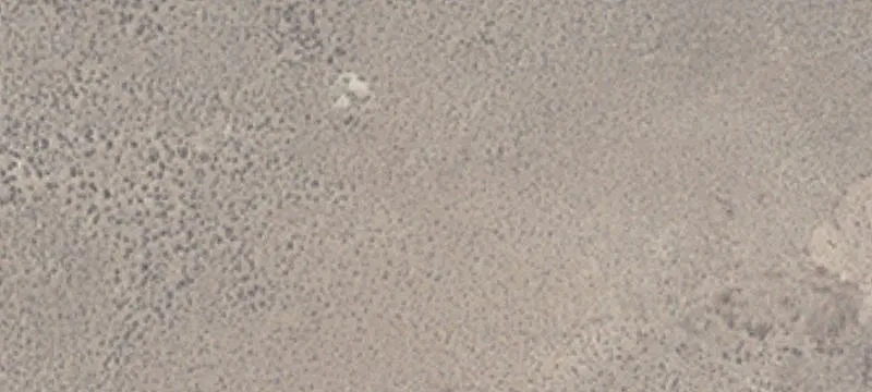 Winnemucca, NV 89445