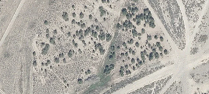Ely, NV 89301