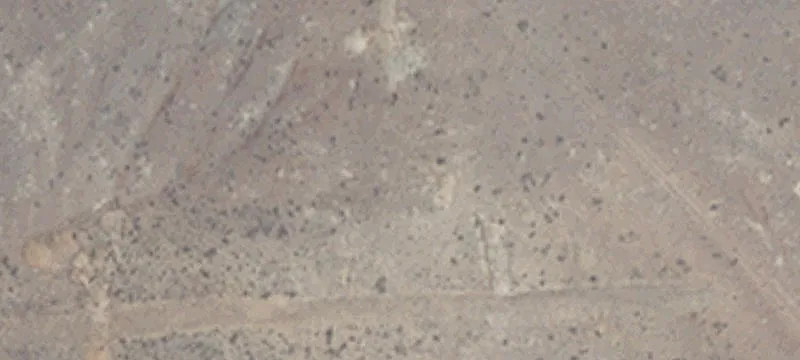 Lovelock, NV 89419