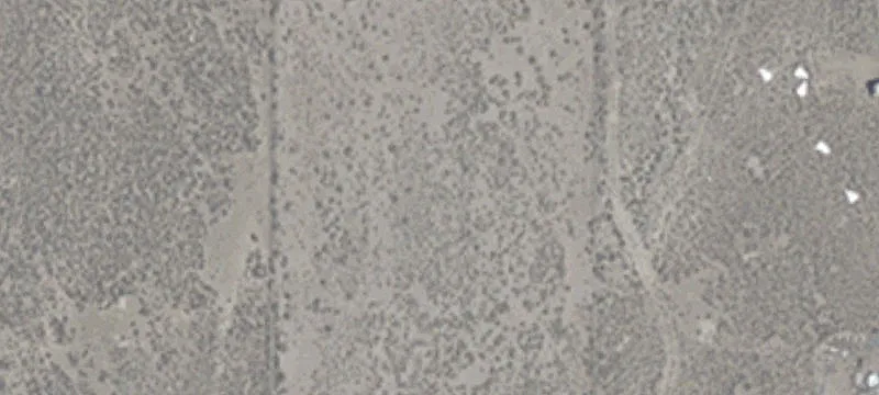 900 Industrial Way
