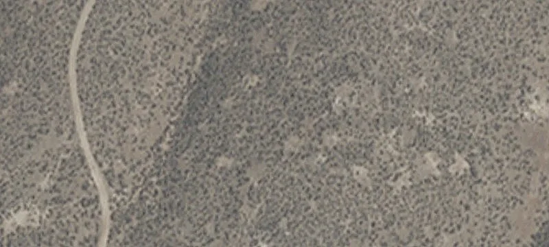 Carlin, NV 89822