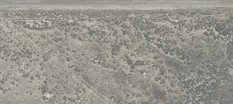Wells, NV 89835