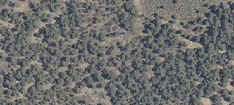 Star Of The W Ml Site 38b