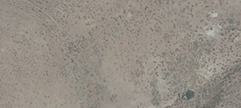 Lovelock, NV 89419