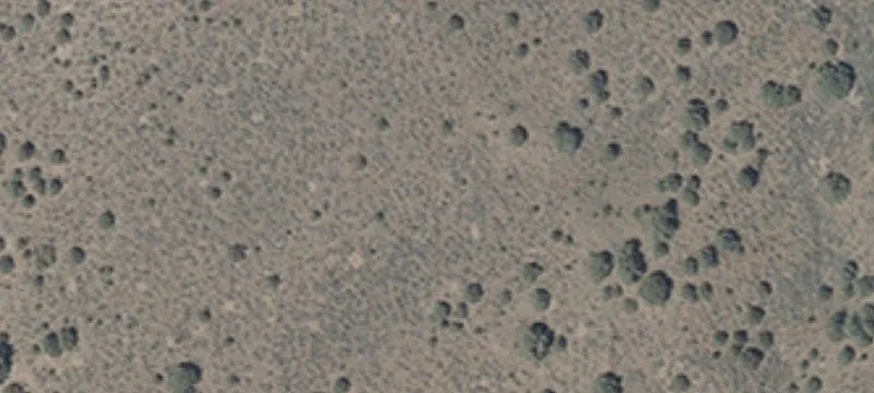 Battle Mountain, NV 89820