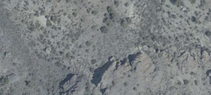 State Rte 447