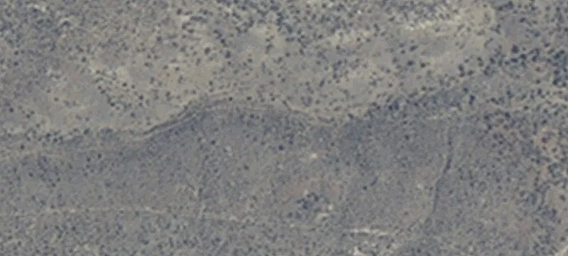 Elko, NV 89801