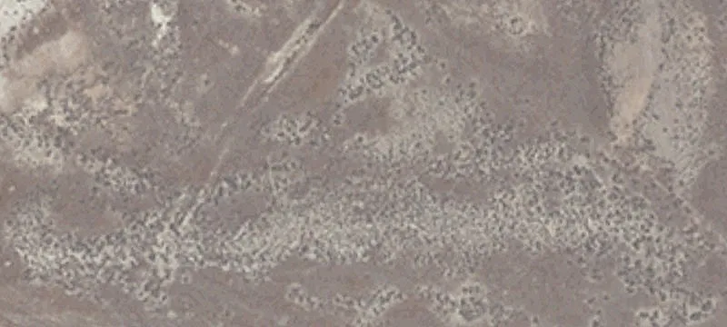 Lovelock, NV 89419