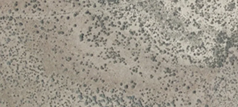 Ww I-80