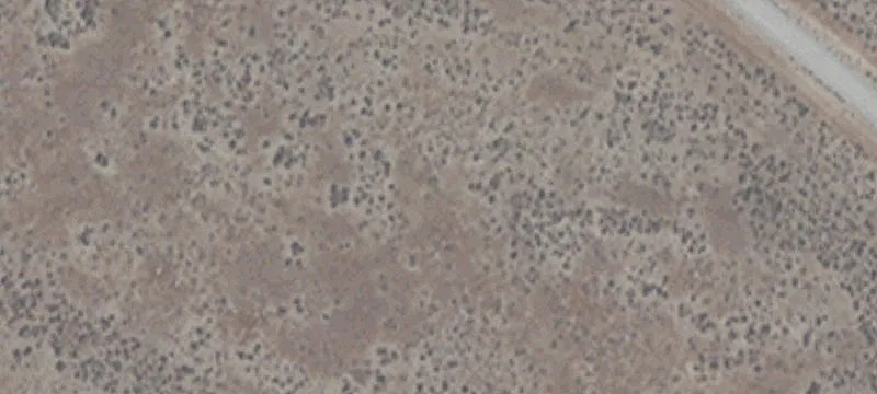2 Ml Site