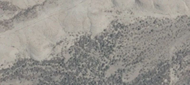 Fernley, NV 89408