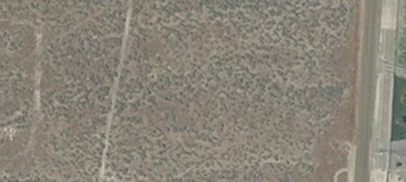 10440 Reins Way