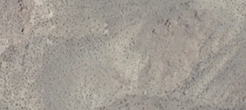 Fallon, NV 89406