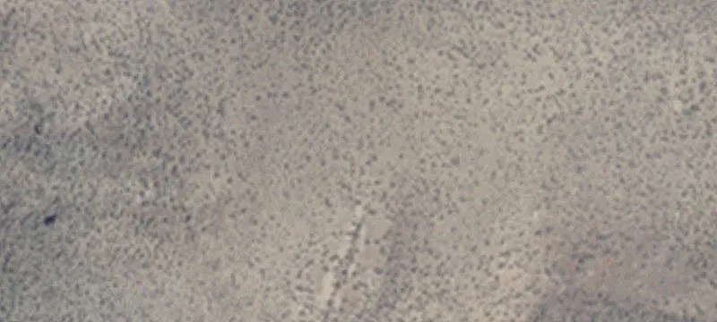 Fallon, NV 89406