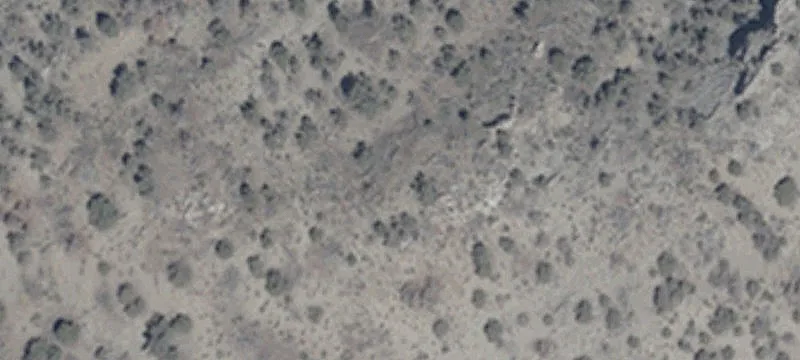 Fallon, NV 89406