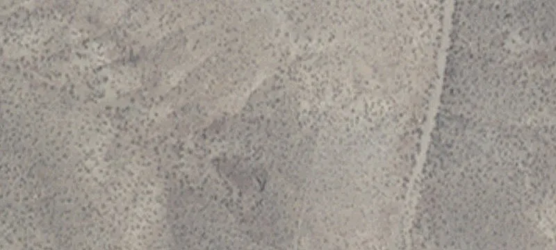 Fallon, NV 89406