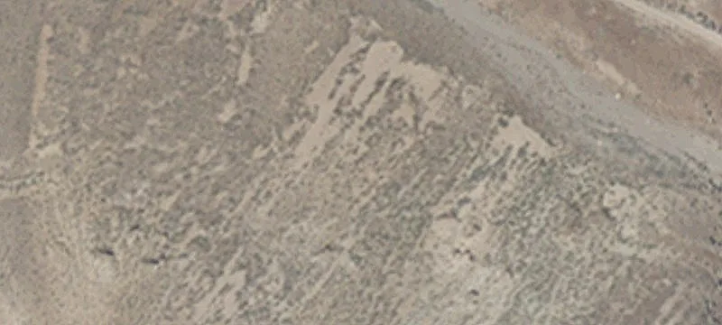 Lovelock, NV 89419