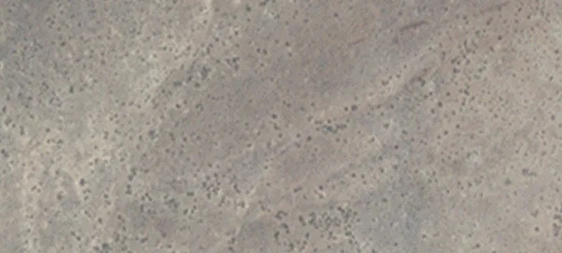 Lovelock, NV 89419