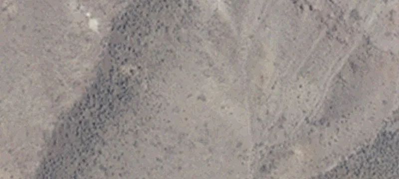 Fallon, NV 89406
