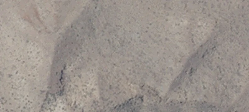 Fallon, NV 89406