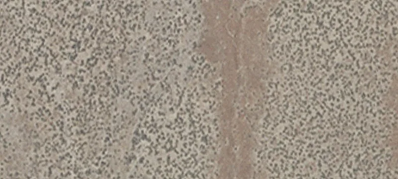 Winnemucca, NV 89445