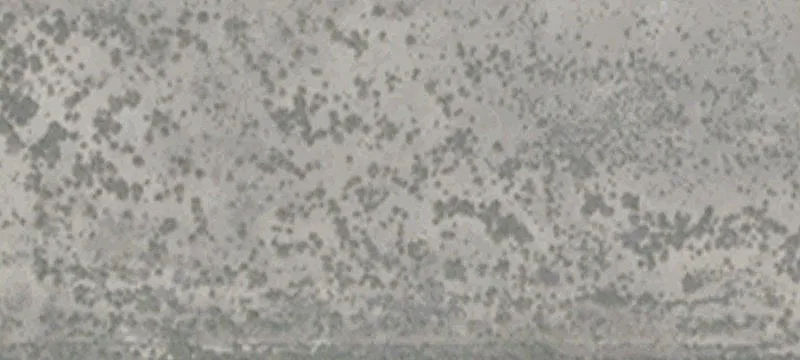 Fallon, NV 89407