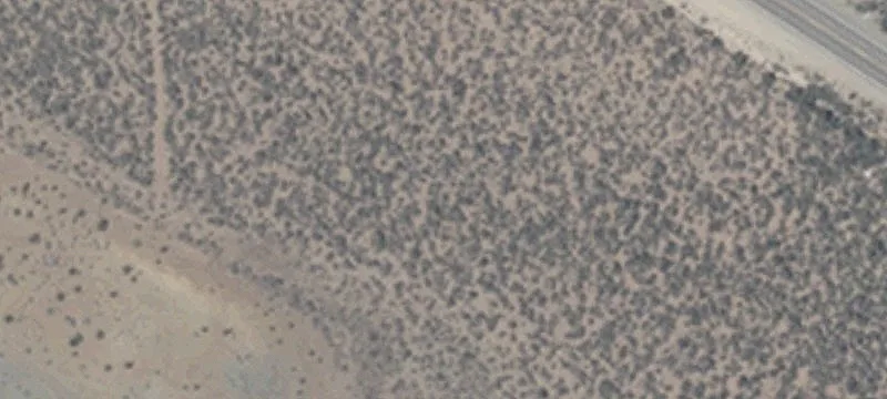 Arrowhead Dr